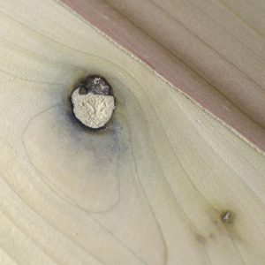 Knot Hole Filled with Sawdust Paste